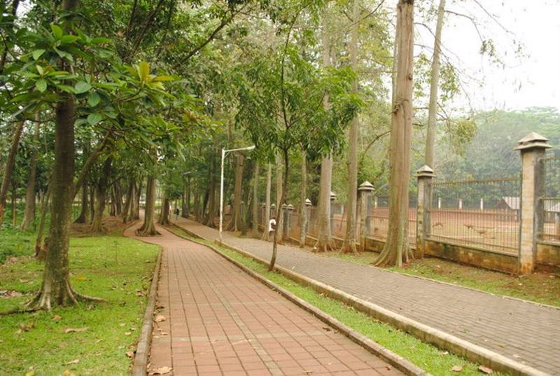 Hutan Kota Depok Wisata di Depok Terbaru
