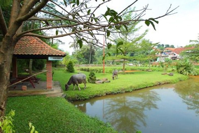 Kampoeng Wisata Cinangneng Kampung Wisata Bogor 