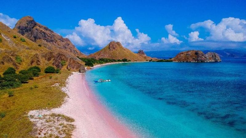 Pantai Pink Wisata Lombok