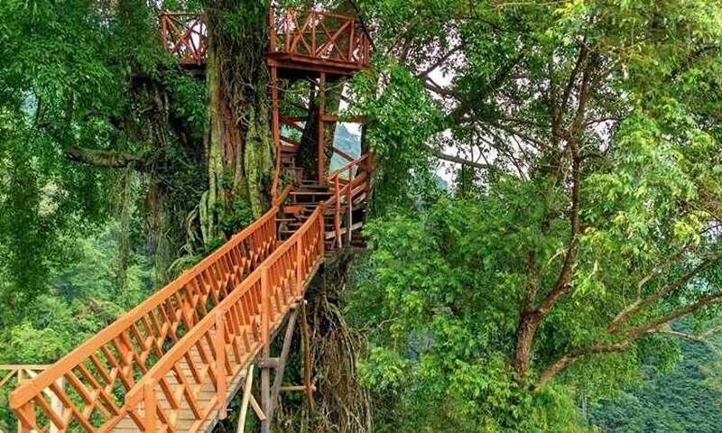 Rumah Pohon Jatiasih tempat wisata bekasi