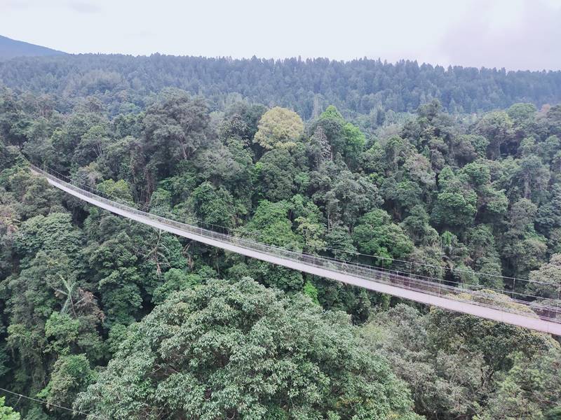 Situ Gunung Suspension Bridge Tempat Wisata Viral