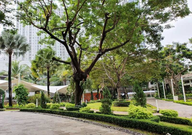 Tribeca Park